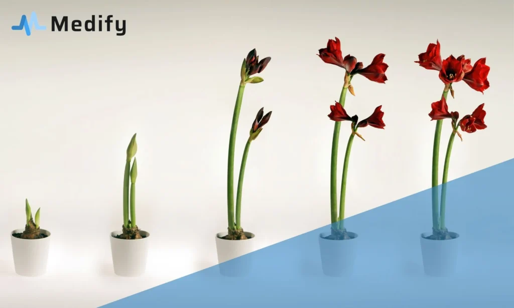 Evolusi Rekam Medis: Dari Kertas ke Sistem Digital Terintegrasi